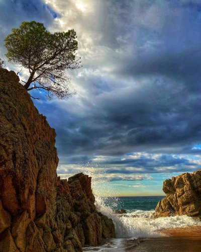 Photo post from terrymillerartist.
