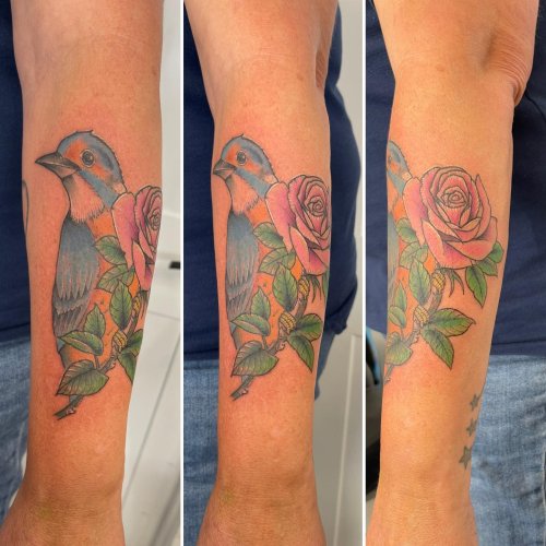 Robin bird tattoos, Robin tattoo, Birds tattoo