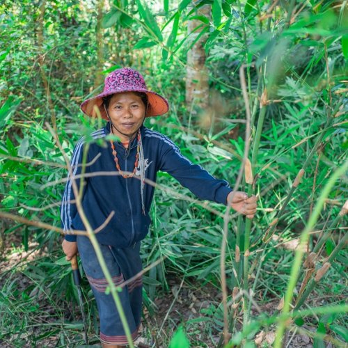 Photo post from unops_official.