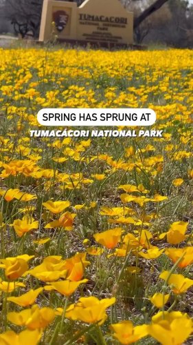 Video post from visittucson.