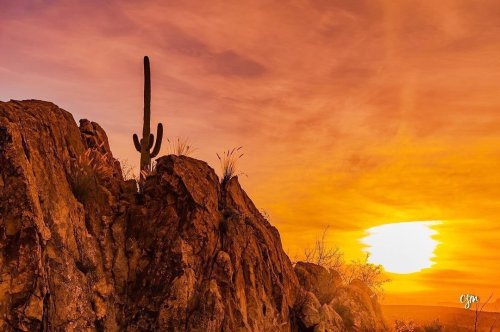 Photo post from visittucson.