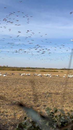 Video post from northernskiesoutfitters.