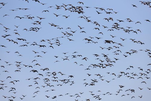 Photo post from northernskiesoutfitters.