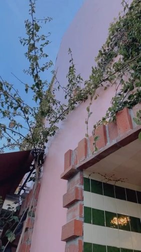 Video post from crane_living.