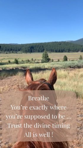 Video post from __amber_lydic__.