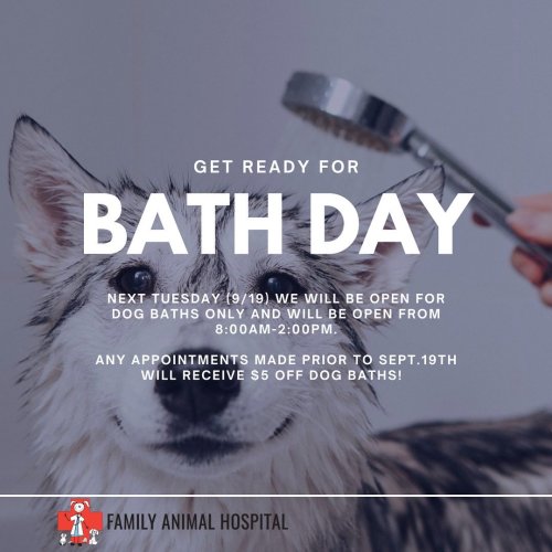 Photo post from familyanimalhospitalcm.
