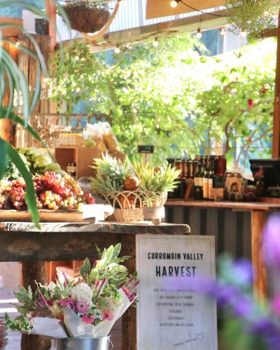 Carousel post from currumbinvalleyharvest.