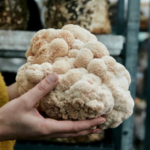 Photo post from farmbox_arizona.