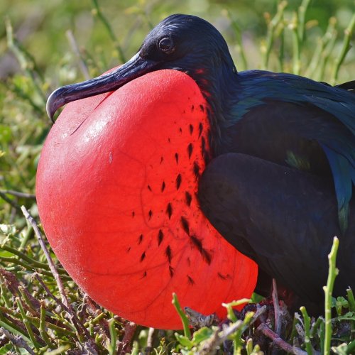 Carousel post from taucktravel.