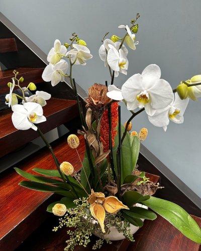 Carousel post from la_gifteria.