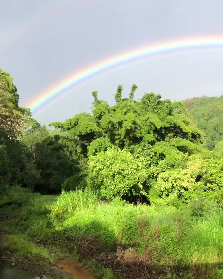 Carousel post from currumbinvalleyharvest.