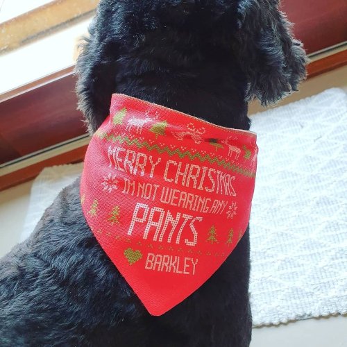 Photo post from furrypeeps.