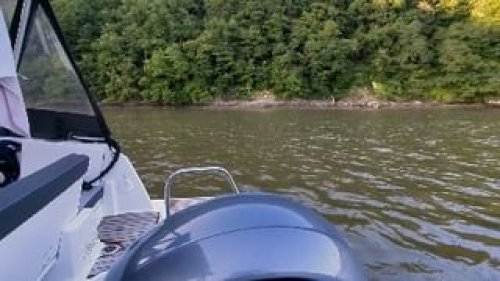 Video post from scott.parry.associates.