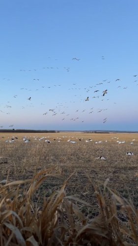 Video post from northernskiesoutfitters.