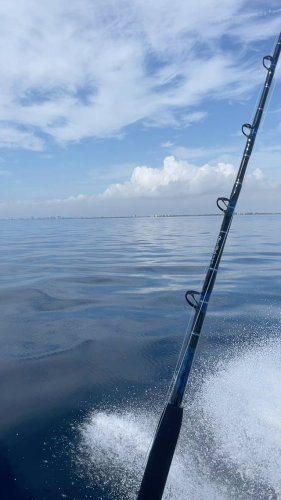 Video post from ejs_fishing_charters.