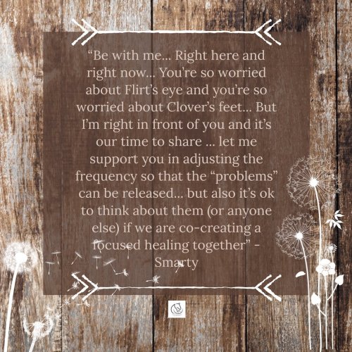 Photo post from __amber_lydic__.