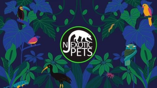 Video post from njexoticpets.