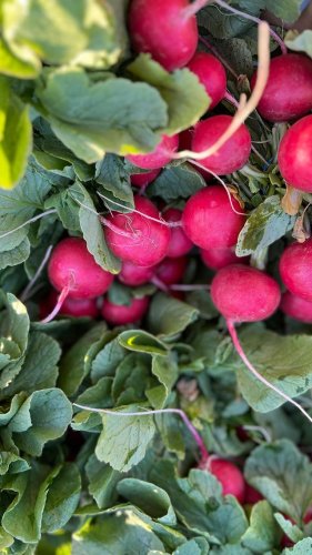 Video post from visaliafarmersmarket.