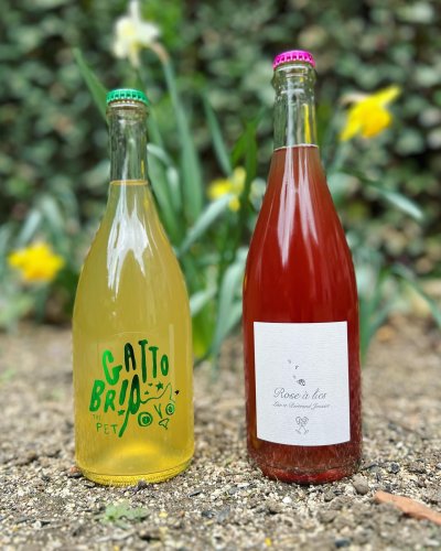 Photo post from dandywineshop.