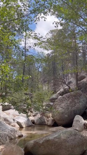 Video post from visittucson.