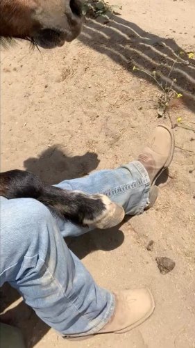 Video post from __amber_lydic__.