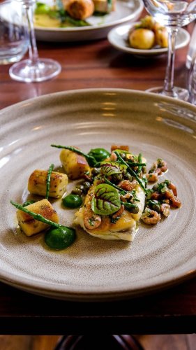 Video post from themoathouse.