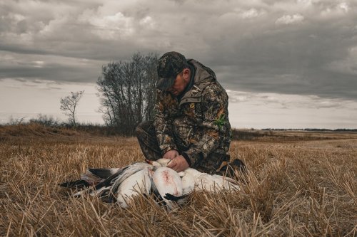 Photo post from northernskiesoutfitters.