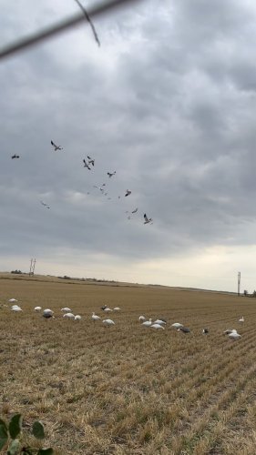 Video post from northernskiesoutfitters.