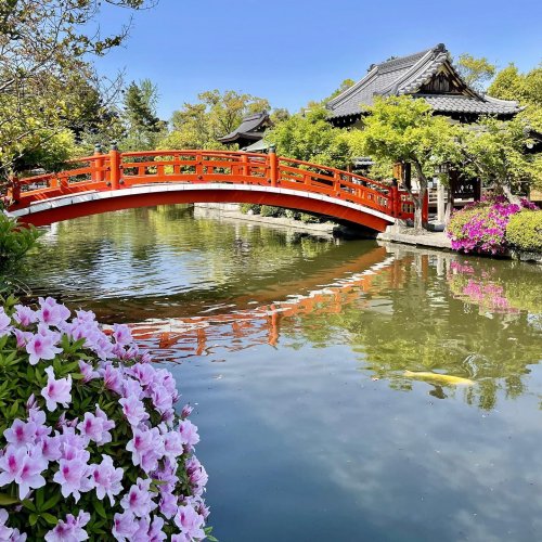 Carousel post from nokukyoto.