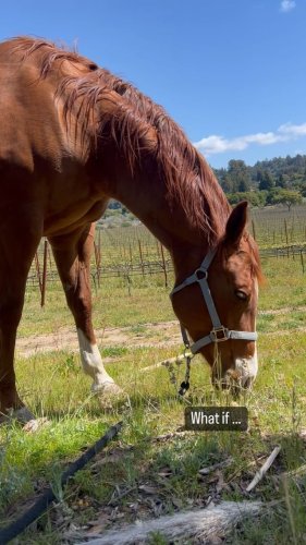 Video post from __amber_lydic__.