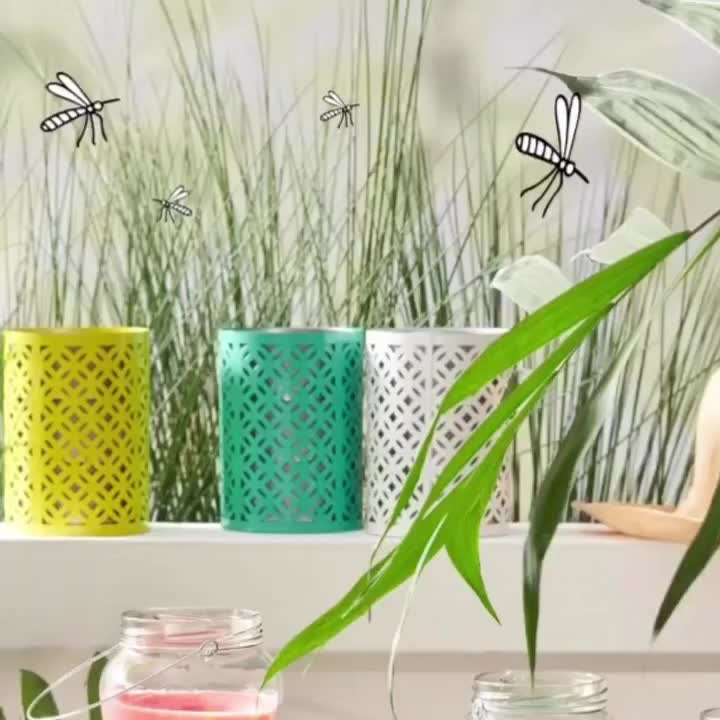 Video post from festival_mall.