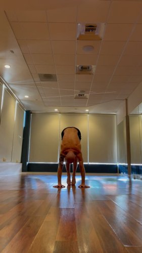 Video post from reachyoga_sd.