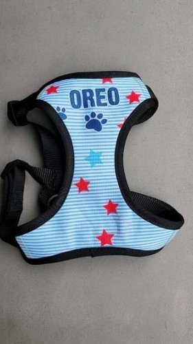 Video post from furrypeeps.