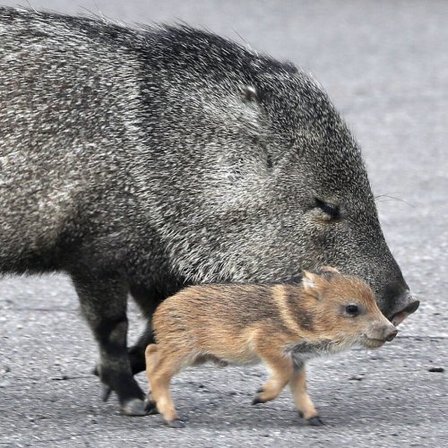 Photo post from visittucson.