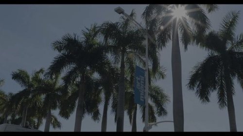 Video post from oti.art.