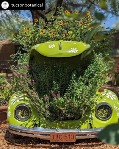 Carousel post from visittucson.