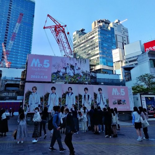 Photo post from ne_shibuya.