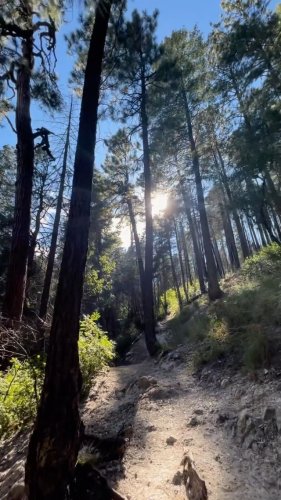 Video post from visittucson.