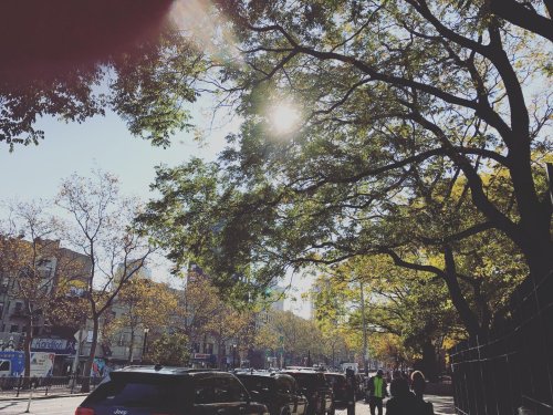 Photo post from nydreamer7.