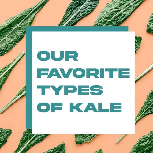 Carousel post from farmbox_arizona.