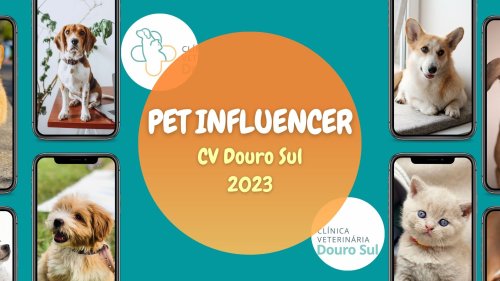 Carousel post from clinica_veterinaria_dourosul.