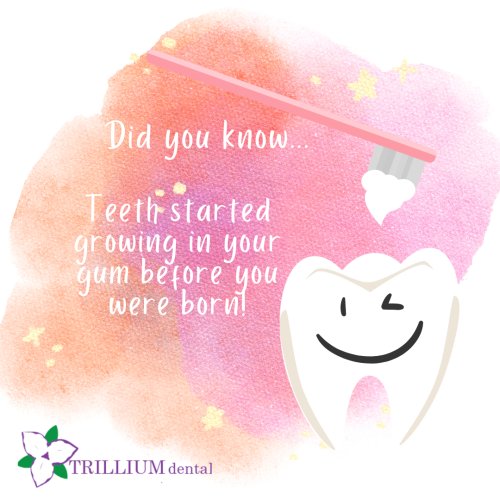 Photo post from trilliumdental.