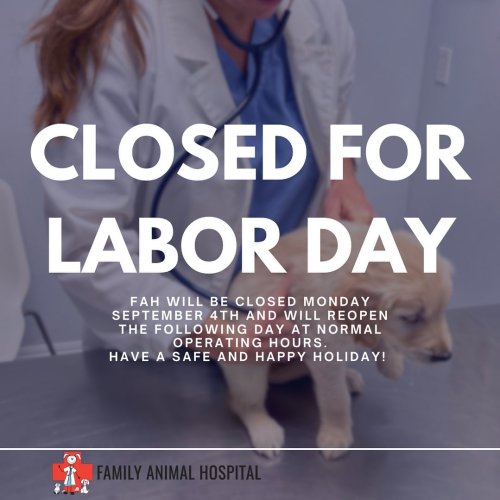 Photo post from familyanimalhospitalcm.