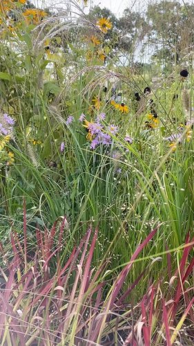 Video post from sussexprairies.