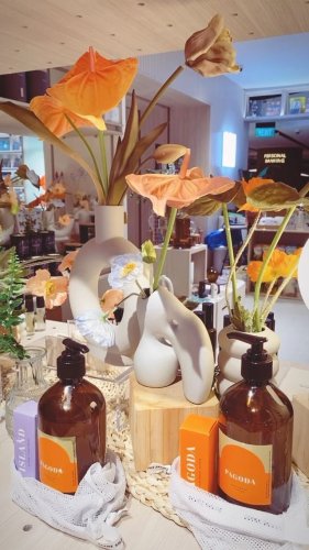 Video post from crane_living.