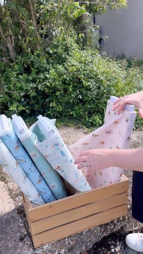 Video post from elephantinmyhandbag.