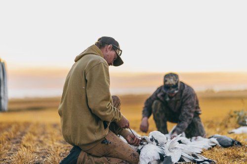 Photo post from northernskiesoutfitters.