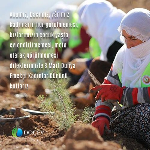 Photo post from dogavecevrevakfi.