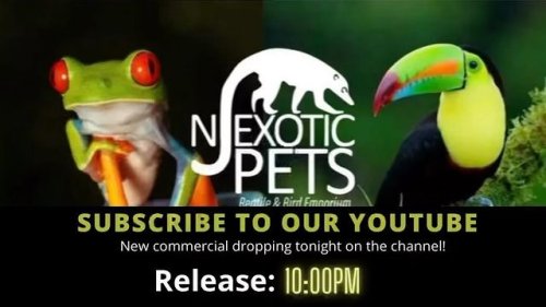 Video post from njexoticpets.