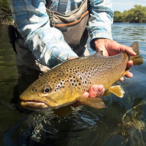 Photo post from nwfoutdoors.